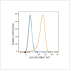ABflo® 647 Rabbit anti-Human HLA-DR mAb (100 T)