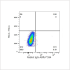 ABflo® 594 Rabbit anti-Human CD235a/Glycophorin A mAb (100 T)