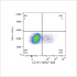 ABflo® 488 Rabbit anti-Human CD161 mAb (100 T)