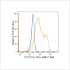 ABflo® 488 Rabbit anti-Human CD127/IL-7Rα mAb (100 T)
