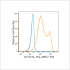 ABflo® 594 Rabbit anti-Human CD127/IL-7Rα mAb (100 T)