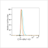 ABflo® 450 Rabbit anti-Human CD14 mAb (100 T)