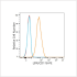 PE Rabbit anti-Human LIFR/CD118 mAb (100 T)