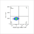 ABflo® 647 Rabbit anti-Human CD301/CLEC10A mAb (100 T)