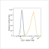 ABflo® 488 Rabbit anti-Human CD61 mAb (100 T)