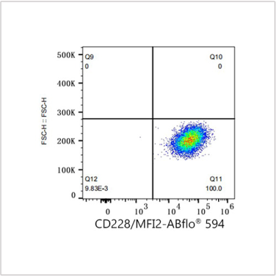 ABflo® 594 Rabbit anti-Human CD228/MFI2 mAb (100 T)
