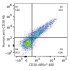 ABflo® 488 Rabbit anti-Human CD38 PolymAb® (100 T)