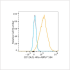 ABflo® 594 Rabbit anti-Human CD124/IL-4Rα mAb (100 T)