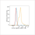 ABflo® 594 Rabbit anti-Human IgG (Fc) mAb (100 T)
