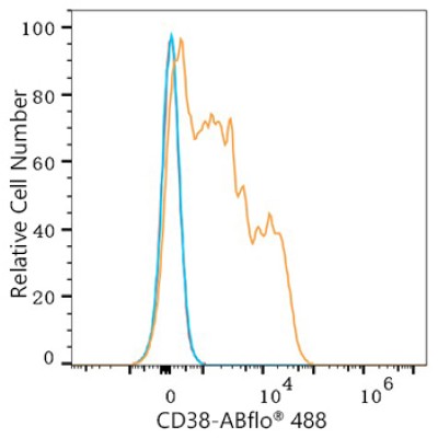 ABflo® 488 Rabbit anti-Human CD38 mAb (100 T)