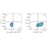 ABflo® 488 Mouse IgG 1 Isotype Control (100 T)