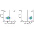 ABflo® 647 Mouse IgG 1 Isotype Control (100 T)