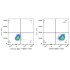 ABflo® 594 Mouse IgG 1 Isotype Control (100 T)