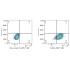 ABflo® 488 Mouse IgG 2b Isotype Control (100 T)