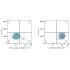 ABflo® 647 Mouse IgG 2b Isotype Control (100 T)