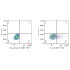 ABflo® 594 Mouse IgG 2b Isotype Control (100 T)