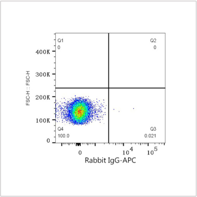 APC Rabbit anti-Human CD162/PSGL-1 mAb (100 T)