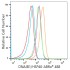 ABflo® 488 Rabbit anti-Human DNAJB1/HSP40 mAb (100 T)