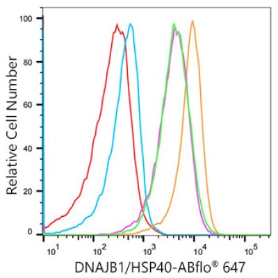 ABflo® 647 Rabbit anti-Human DNAJB1/HSP40 mAb (100 T)