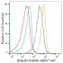 ABflo® 647 Rabbit anti-Human DNAJB1/HSP40 mAb (100 T)