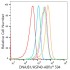 ABflo® 594 Rabbit anti-Human DNAJB1/HSP40 mAb (100 T)