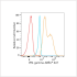 ABflo® 647 Rabbit anti-Human IFN-gamma mAb (100 T)