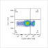 ABflo® 488 Rabbit anti-Human CD204 mAb (100 T)