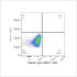 ABflo® 488 Rabbit anti-Human CD138 mAb (100 T)