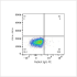 PE Rabbit anti-Human CD45 mAb (100 T)
