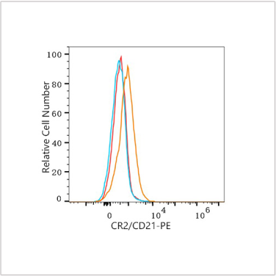 PE Rabbit anti-Human CR2/CD21 mAb (100 T)