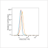 PE Rabbit anti-Human CR2/CD21 mAb (100 T)