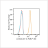 ABflo® 488 Rabbit anti-Human CD50(ICAM-3) mAb (100 T)