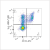 ABflo® 488 Rabbit anti-Human Syk mAb (100 T)