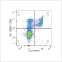 ABflo® 594 Rabbit anti-Human Syk mAb (100 T)