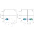 ABflo® 700 Mouse IgG 2a Isotype Control (100 T)