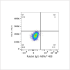 ABflo® 488 Rabbit anti-Human CD172b mAb (100 T)
