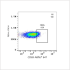 ABflo® 647 Rabbit anti-Human CD69 mAb (100 T)