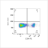 PE Rabbit anti-Mouse CD4 mAb (100 T)
