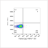 ABflo® 700 Rabbit anti-Mouse CD4 mAb (100 T)