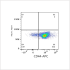 APC Rabbit anti-Mouse CD44 mAb (100 T)