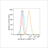 ABflo® 647 Rabbit anti-Human Syndecan 4 mAb (100 T)