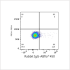 ABflo® 450 Rabbit anti-Mouse CD44 mAb (100 T)