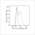 ABflo® 450 Rabbit anti-Human CD127/IL-7Rα mAb (100 T)
