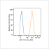 APC Rabbit anti-Human CD117/c-Kit mAb (100 T)