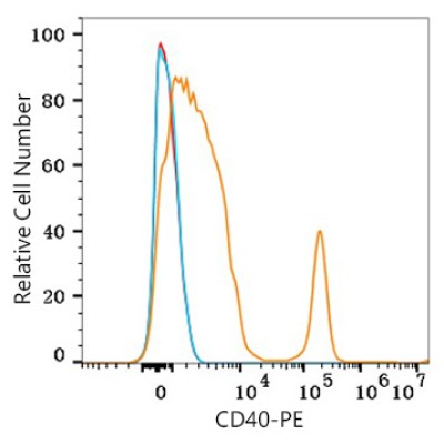 PE Rabbit anti-Human CD40 mAb (100 T)