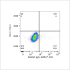 ABflo® 450 Rabbit anti-Mouse CD34 mAb (100 T)