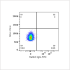 FITC Rabbit anti-Human CD45 mAb (100 T)