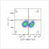 ABflo® 450 Rabbit anti-Mouse CD19 mAb (100 T)