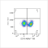 ABflo® 700 Rabbit anti-Mouse CD19 mAb (100 T)