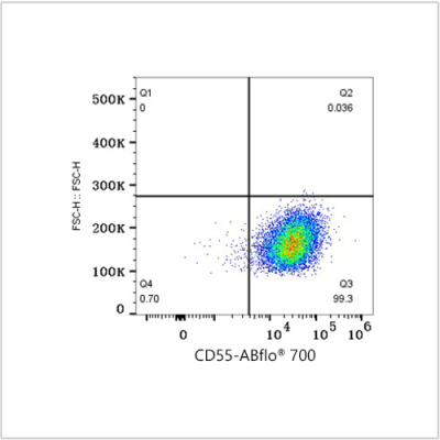 ABflo® 700 Rabbit anti-Human CD55 mAb (100 T)